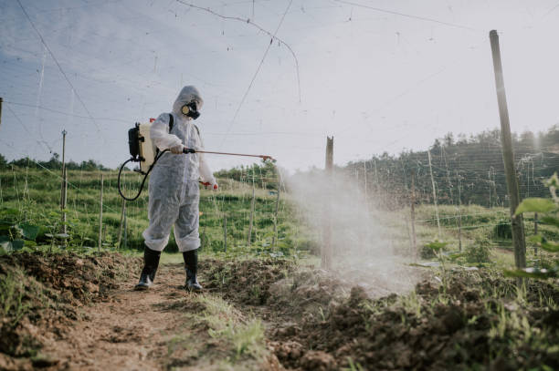 Best Pest Removal Services  in Pittston, PA