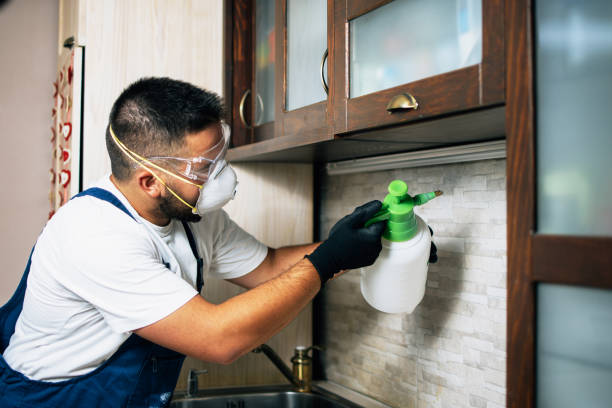 Best Exterminator Services  in Pittston, PA