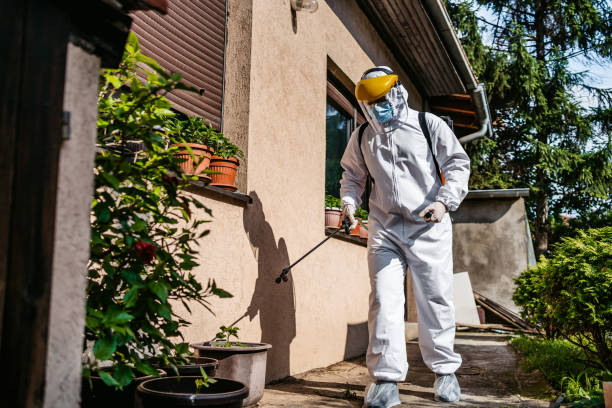 Best Rat Extermination Near Me  in Pittston, PA