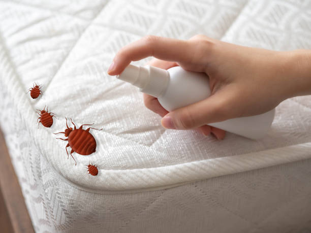 Best Affordable Pest Control Services  in Pittston, PA