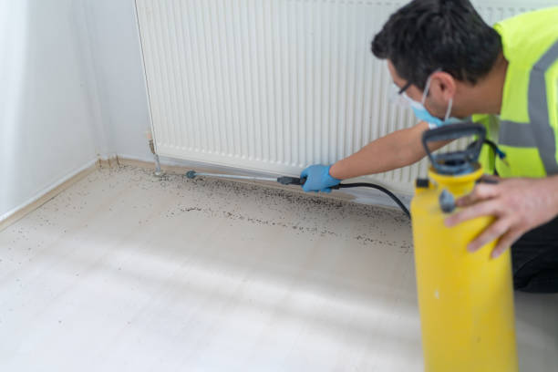 Best Pest Control Near Me  in Pittston, PA