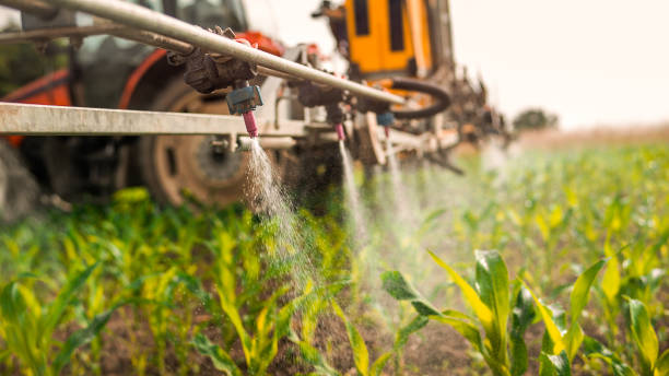 Best Mosquito Control Services  in Pittston, PA